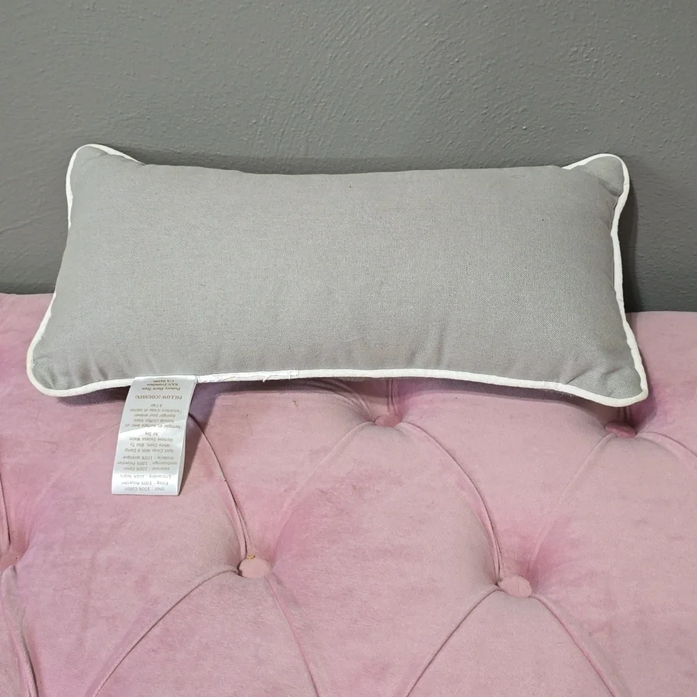 Pottery barn teen bonjour pillow